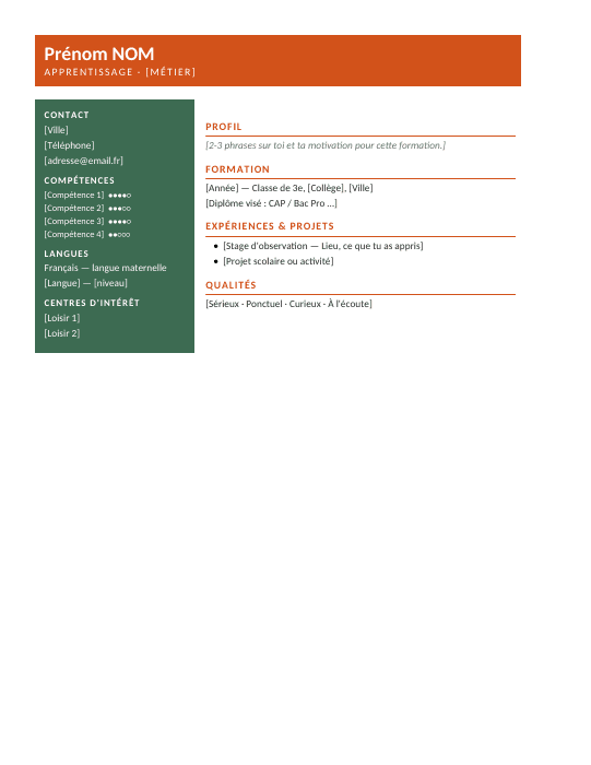 Aperçu du modèle de CV Moderne