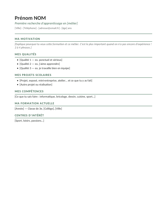Aperçu du modèle de CV Première expérience